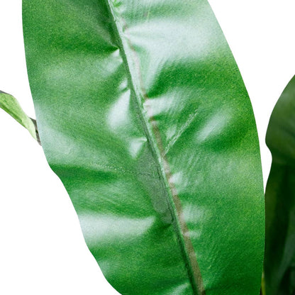 Asplenium Fern - Potted - Artificial