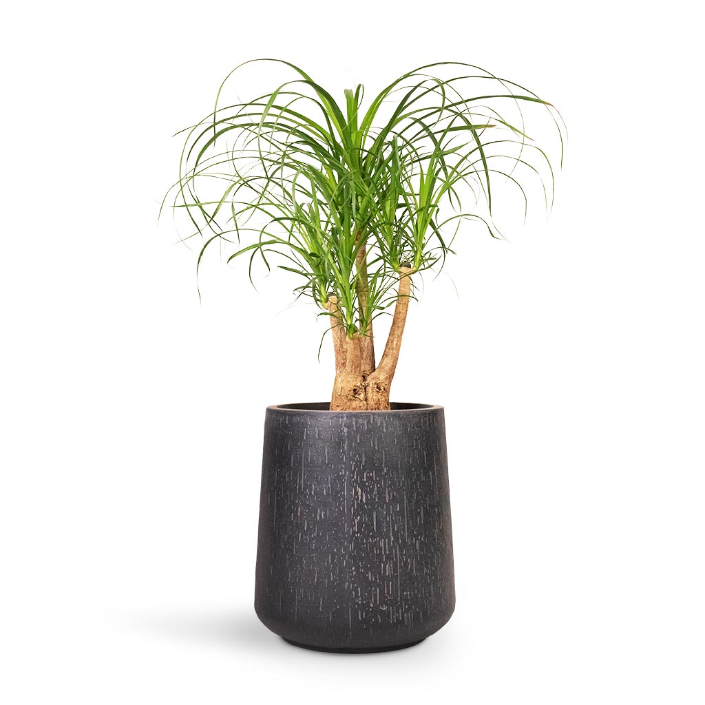 Raindrop Tube High Round Planter - Large Plant Display