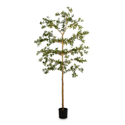 Bucida Tree Deluxe - Potted - Artificial
