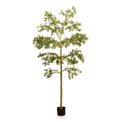 Bucida Tree Deluxe - Potted - Artificial