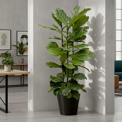 Bucket Natural Planter - XL Plant Display