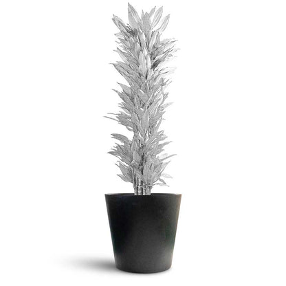 Bucket Natural Planter - Large Plant Display