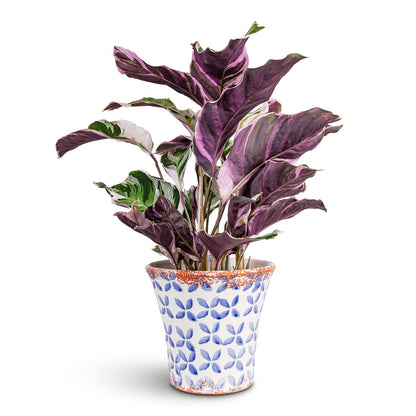 Porto Plant Pot - Blue Tile