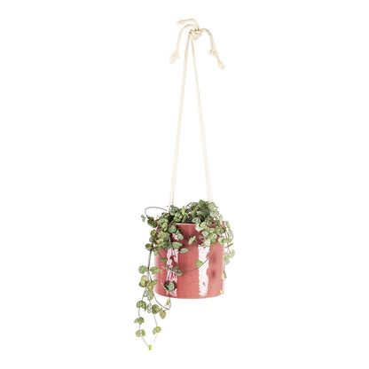 Kai Hanging Plant Pot - Cherry