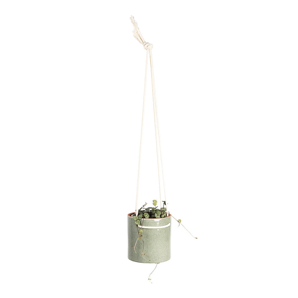 Kai Hanging Plant Pot - Mint