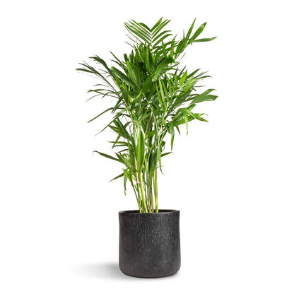 Raindrop Round Planter - Large Plant Display