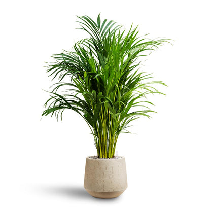 Raindrop Egg Planter - Large Plant Display