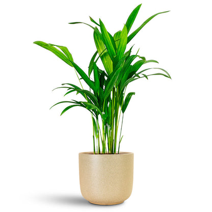Nine Plant Pot - Concrete