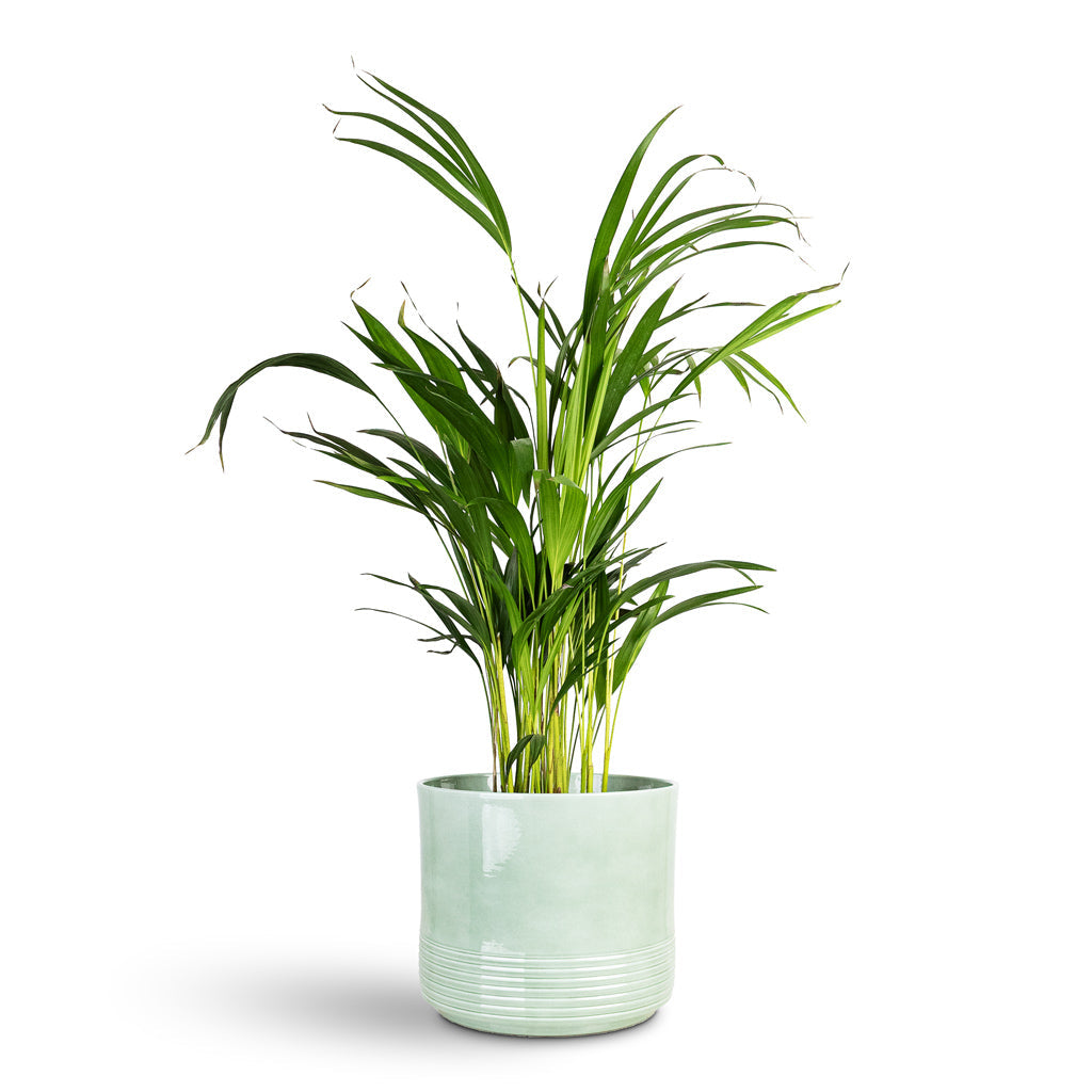 Munich Plant Pot - Green Gloss