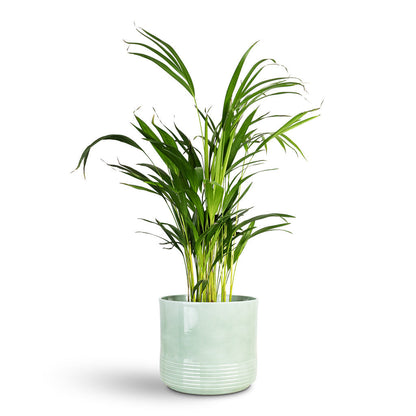 Munich Plant Pot - Green Gloss