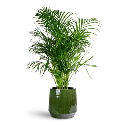 Common Plant Pot - Shiny Emerald