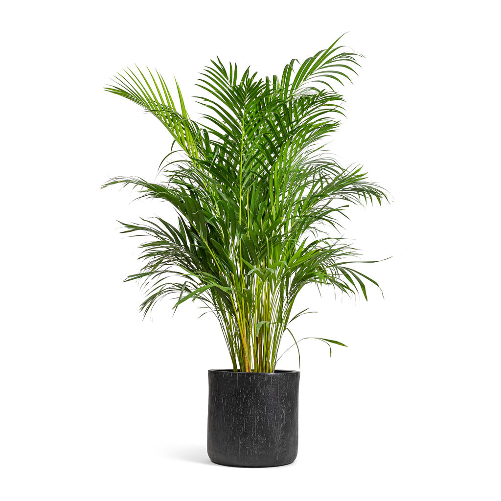 Raindrop Round Planter - XL Plant Display