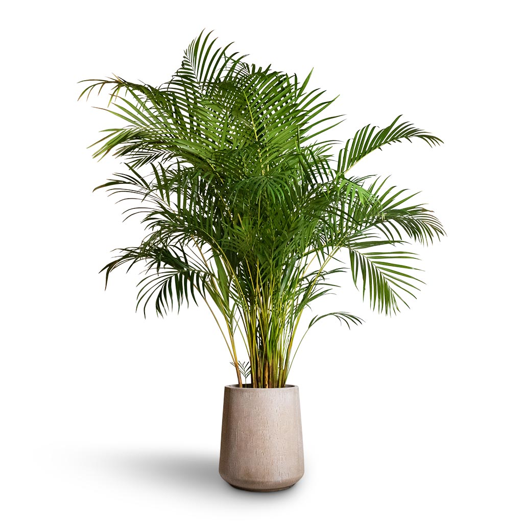 Raindrop Tube High Round Planter - Large Plant Display