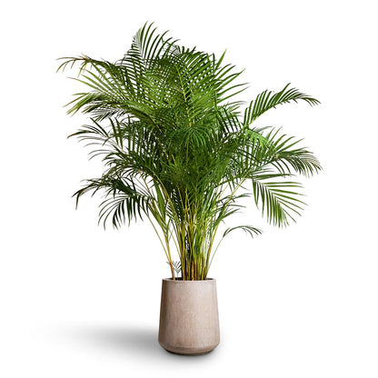 Raindrop Tube High Round Planter - XL Plant Display