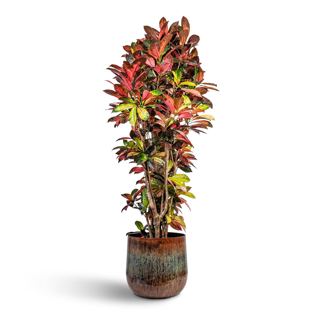 Cilia Metal Plant Pot - Mystic Sepia