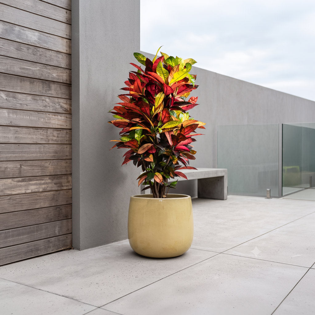 Aura Balloon Planter - Cream