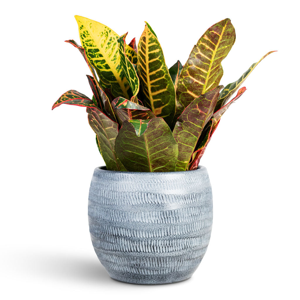Manuel Plant Pot - Shiny Grey