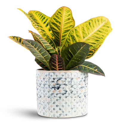 Terni Plant Pot - Denim