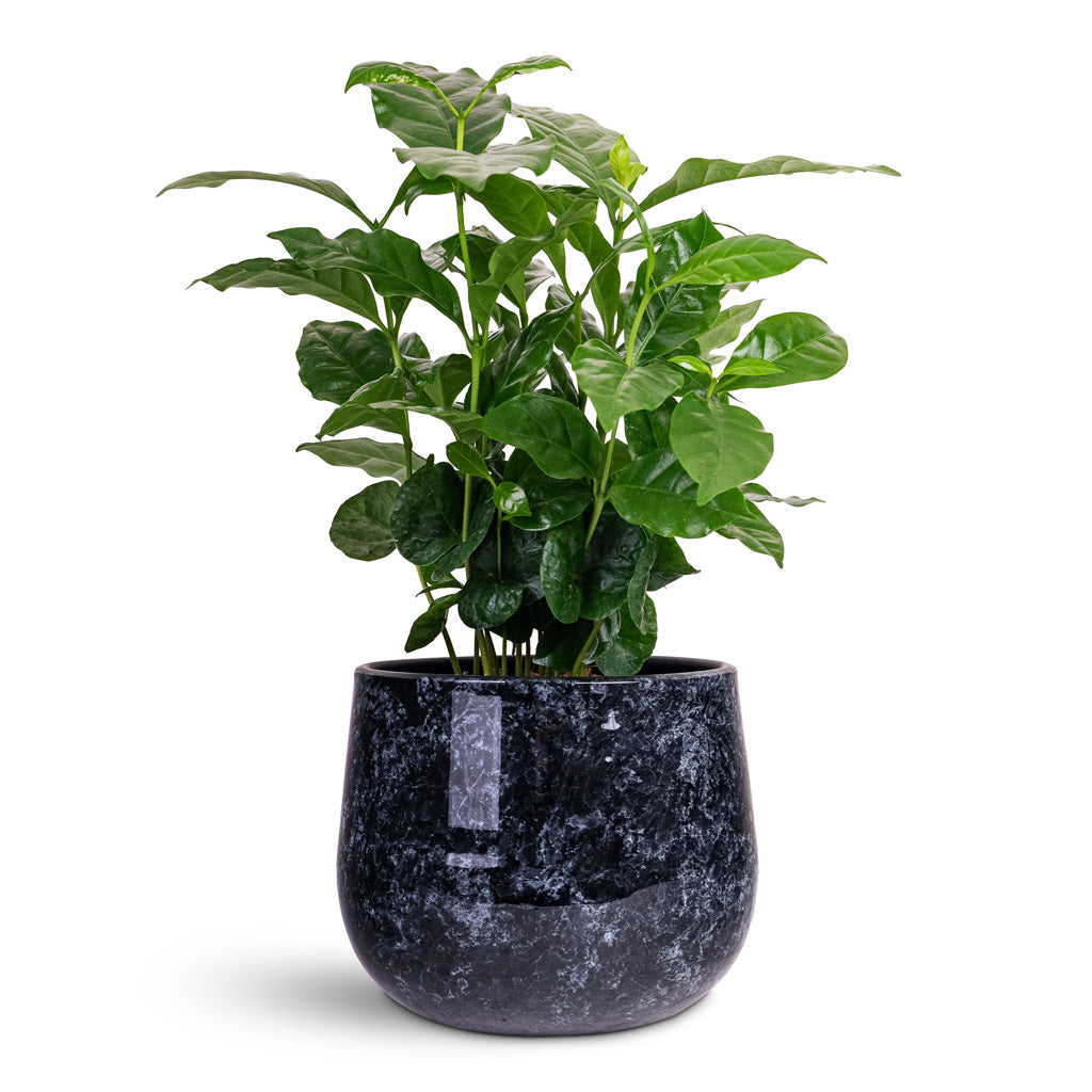 Emmie Metal Plant Pot - Mystic Blue