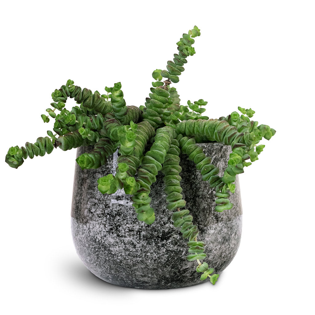 Emmie Metal Pot - Mystic Grey