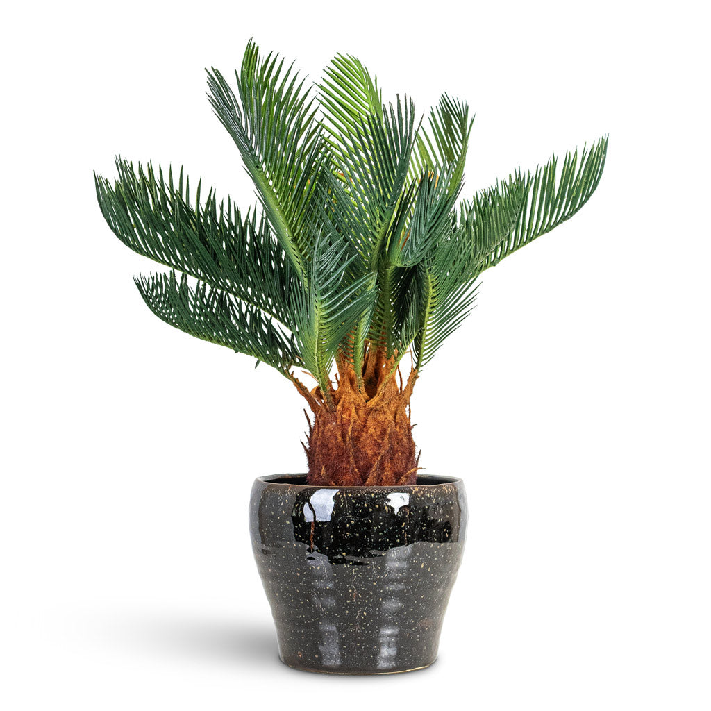 Cycas revoluta Palm - Potted - Artificial