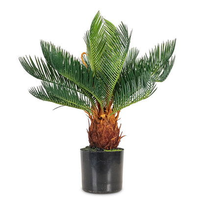 Cycas revoluta Palm - Potted - Artificial