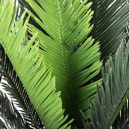 Cycas revoluta Palm - Potted - Artificial