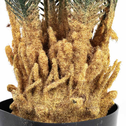 Cycas revoluta Palm - Potted - Artificial