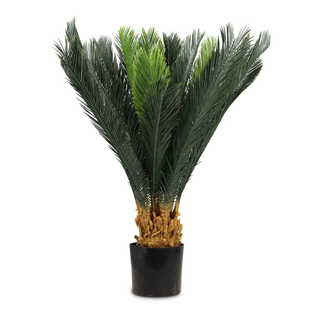 Cycas revoluta Palm - Potted - Artificial