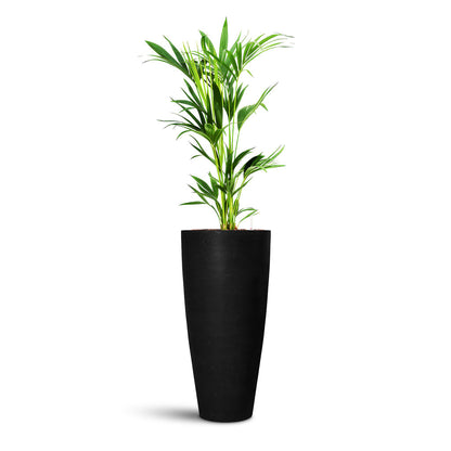 Dax Natural Tall Planter - Large Plant Display
