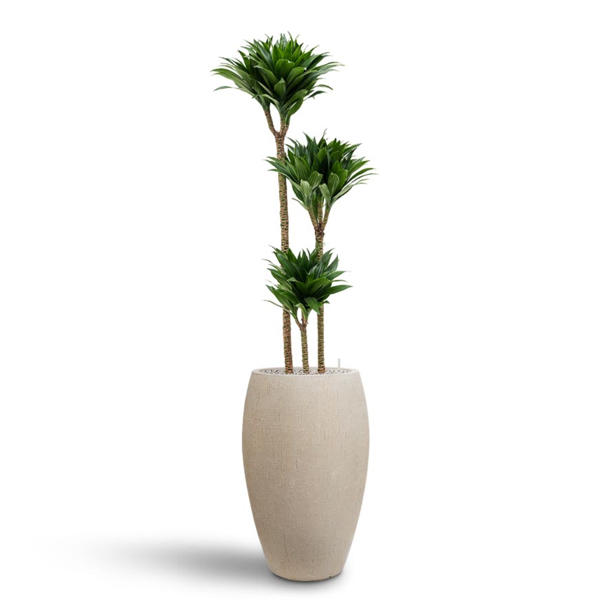 Raindrop Tall Balloon Planter - Large Plant Display