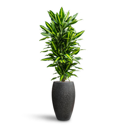 Raindrop Tall Balloon Planter - Large Plant Display