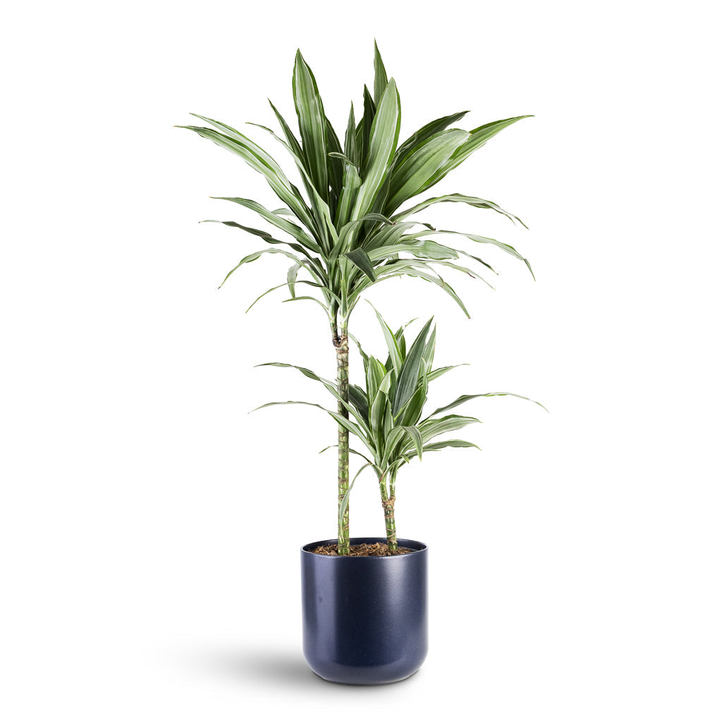 Lisbon Plant Pot - French Navy