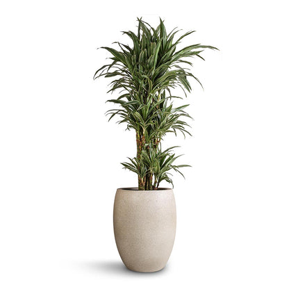 Grigio Tall Balloon - Large Plant Display