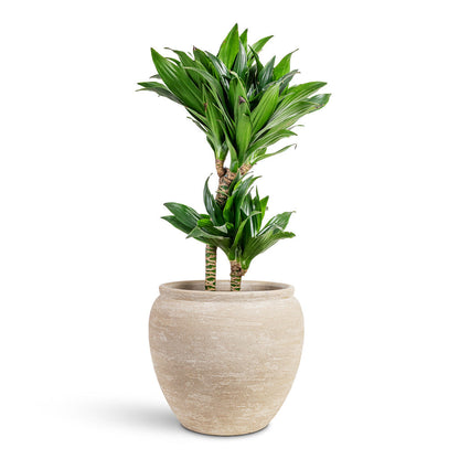 Milos Plant Pot - Lunar