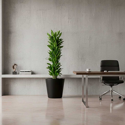 Bucket Natural Planter - Large Plant Display