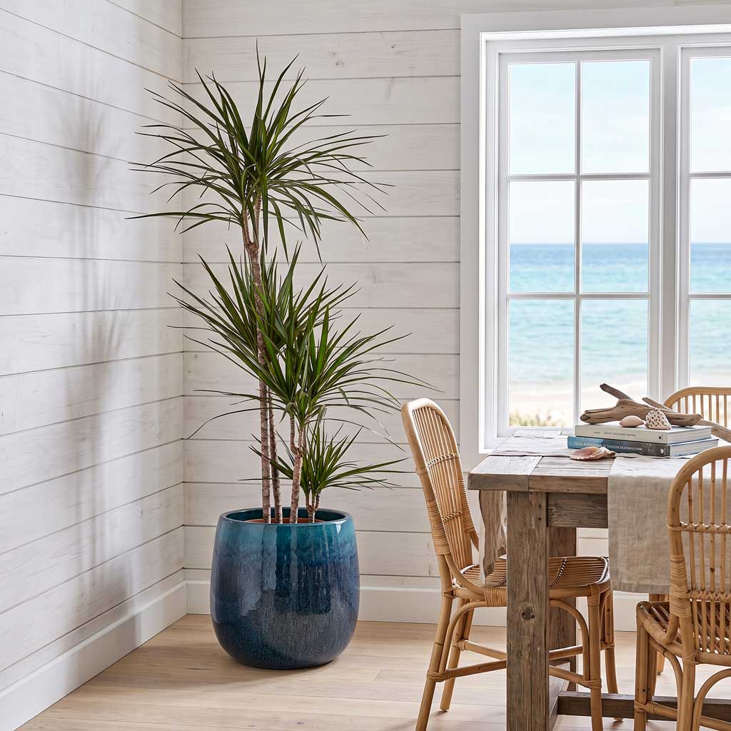 Aura Balloon Planter - Ocean Blue