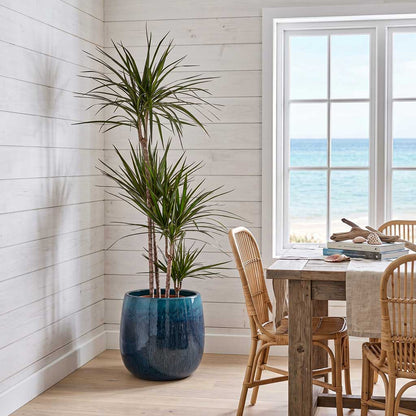 Aura Balloon Planter - Ocean Blue