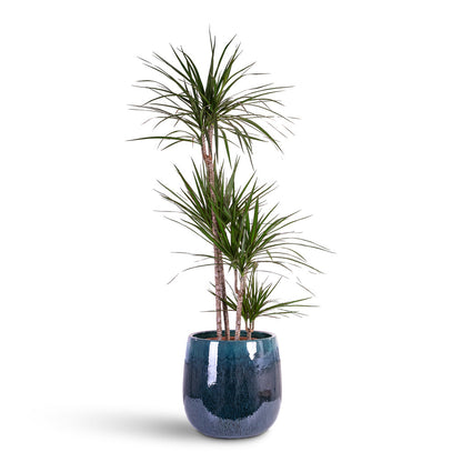 Aura Balloon Planter - Ocean Blue