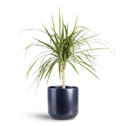 Lisbon Plant Pot - French Navy