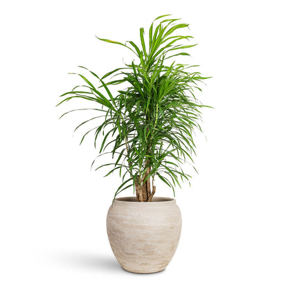 Milos Plant Pot - Lunar