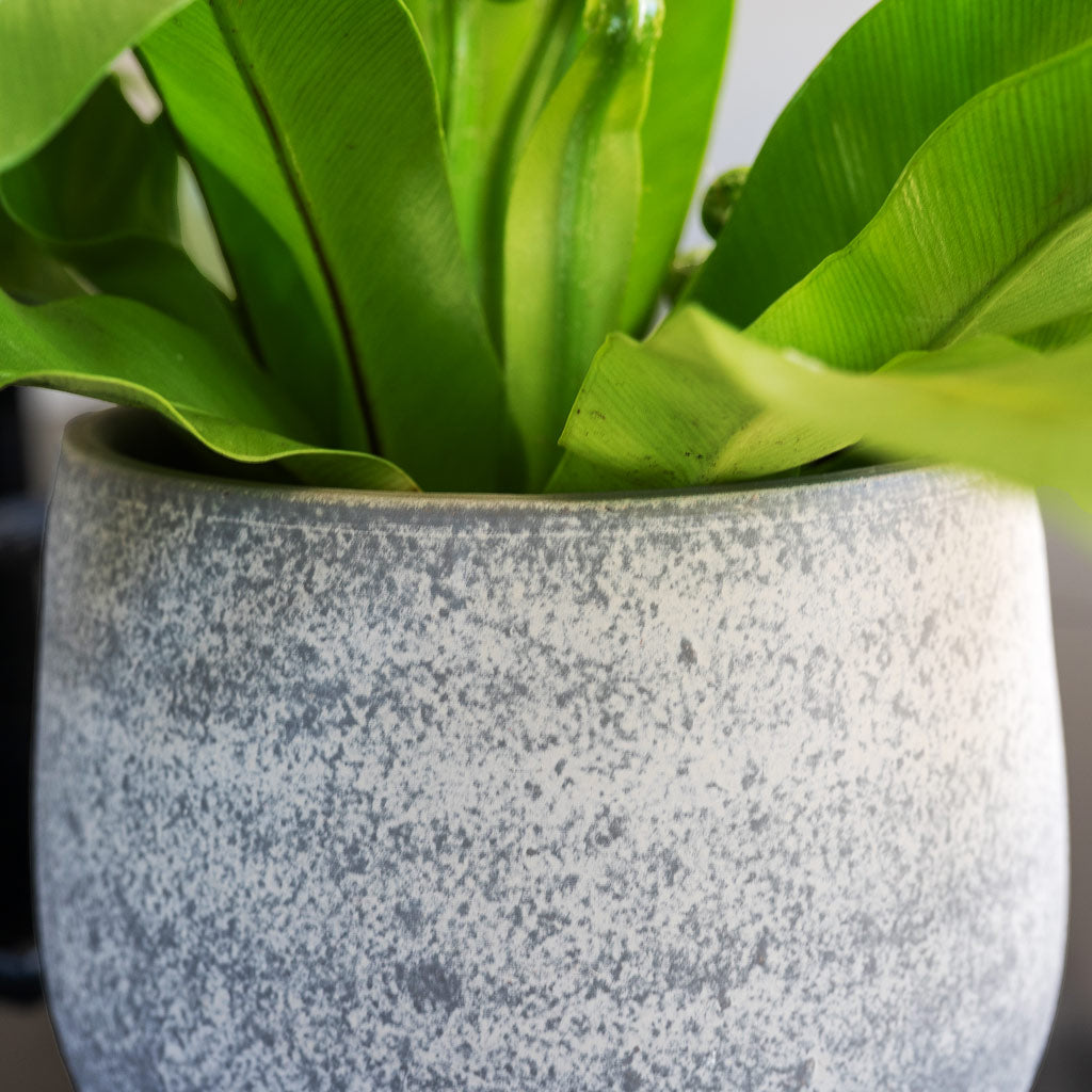 Esra Plant Pot - Concrete