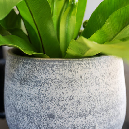 Esra Plant Pot - Concrete