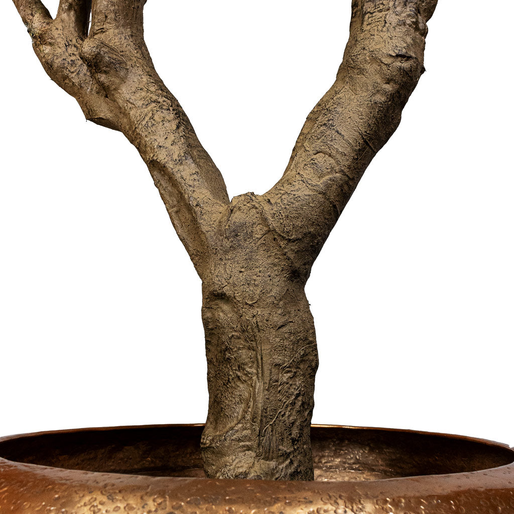 Olive Botanic Tree - Potted - Artificial