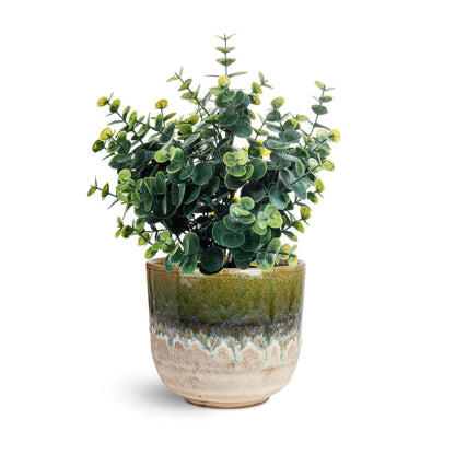 Rowe Glaze Plant Pot - Olive Wash