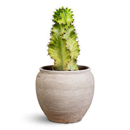 Milos Plant Pot - Lunar
