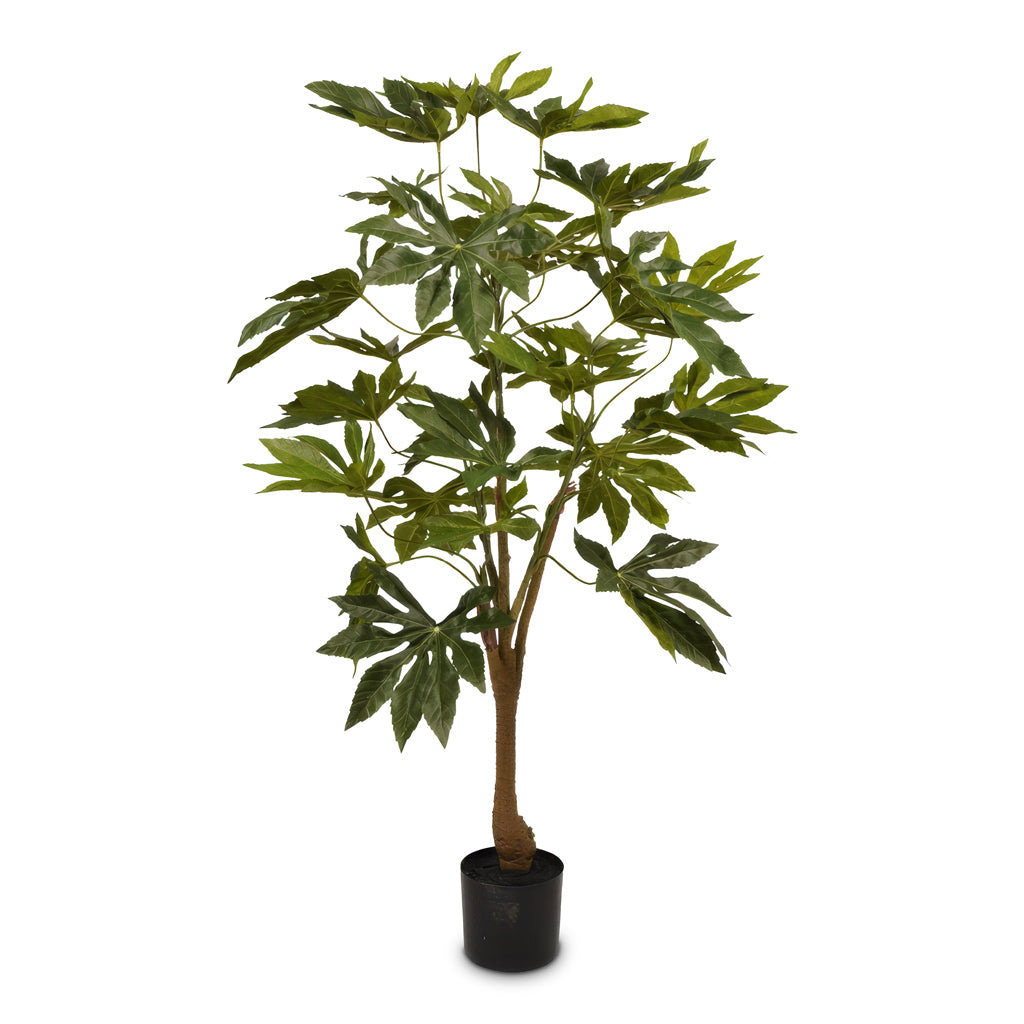Fatsia japonica - Potted - Artificial