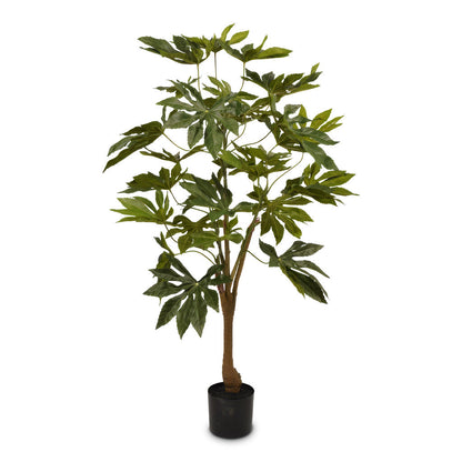 Fatsia japonica - Potted - Artificial