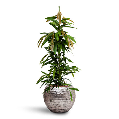 Opus Hammered Globe Planter - XL Plant Display