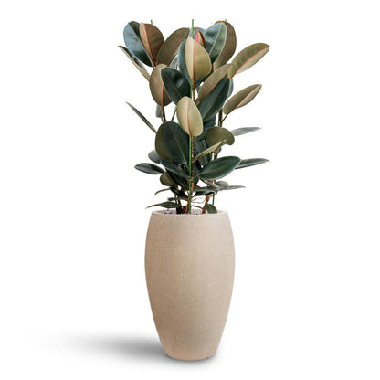 Raindrop Tall Balloon Planter - XL Plant Display